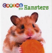 Expert Pet Care Caring For Hamsters