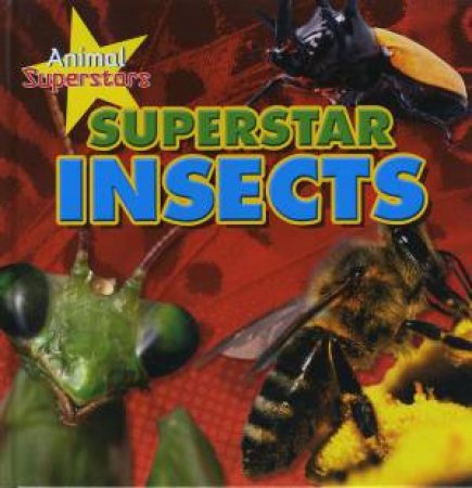 Animal Superstars: Superstar Insects by Louise Spilsbury