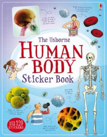 Human Body Sticker Book by Alex Frith & Adam Larkum & Ian McNee