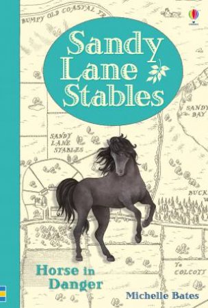 Sandy Lane Stables: Horse in Danger by Michelle Bates
