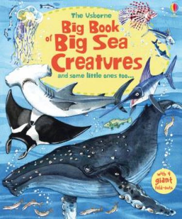 Big Book of Big Sea Creatures: And Some Little Ones Too... by Minna Lacey & Fabiano Fiorin