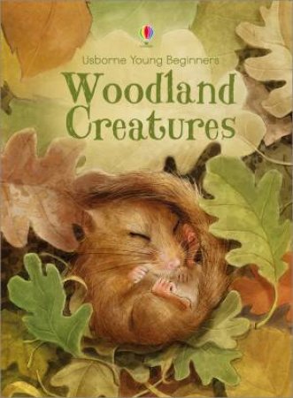 Young Beginners: Woodland Creatures by Emily Bone