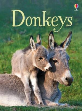 Beginners Donkeys by James Maclaine