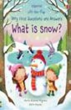 LifttheFlap Very First Questions and Answers What is Snow