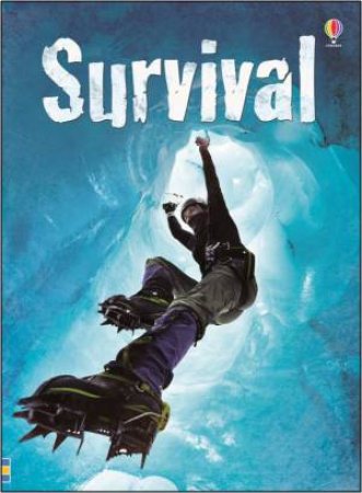 Beginners Plus Survival by Paul Dowswell