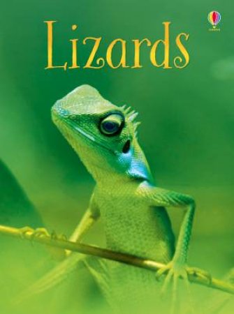 Beginners Lizards by James Maclaine & Paul Parker