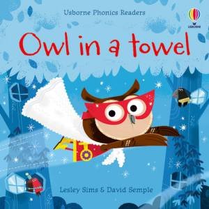 Owl In A Towel by Lesley Sims & David Semple