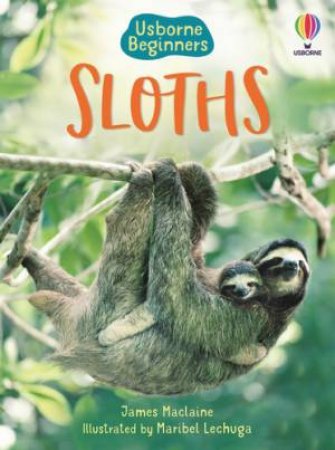 Sloths by James Maclaine & Maribel Luchuga