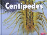 Creepy Crawlers Centipedes