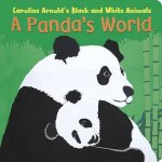 Pandas World
