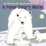 Polar Bears World