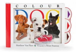 Colour Dog by Matthew Van Fleet