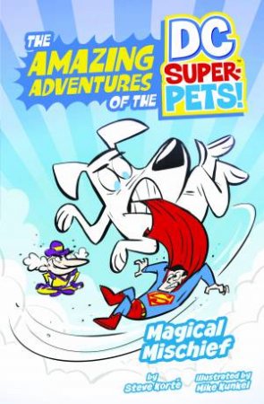 The Amazing Adventures of the DC Super-Pets: Magical Mischief by Steve Korte