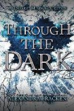 Darkest Minds Collection Through the Dark