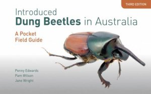 Introduced Dung Beetles in Australia by Penny Edwards & Pam Wilson & Jane Wright