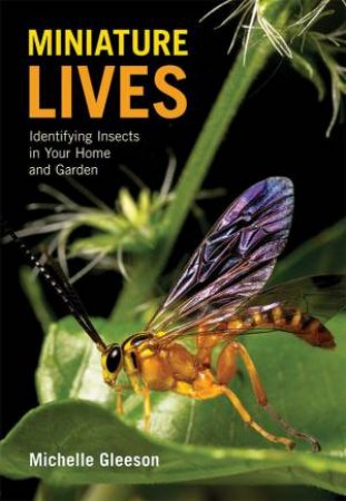 Miniature Lives by Michelle Gleeson