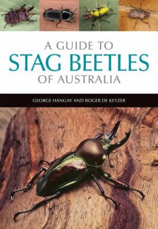 A Guide To Stag Beetles Of Australia by George Hangay & Roger de Keyzer & Paul Zborowski