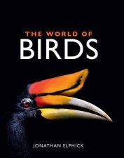 The World of Birds