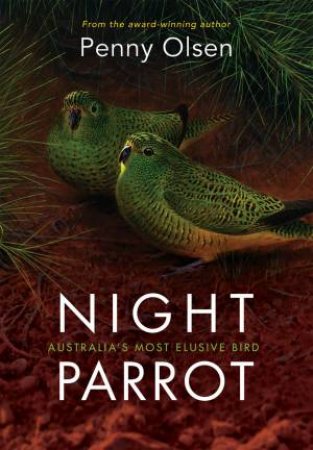 Night Parrot by Penny Olsen