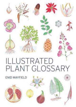 Illustrated Plant Glossary by Enid Mayfield