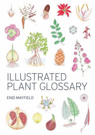 Illustrated Plant Glossary by Enid Mayfield