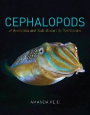Cephalopods Of Australia And SubAntarctic Territories