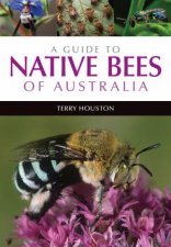 A Guide To Native Bees Of Australia