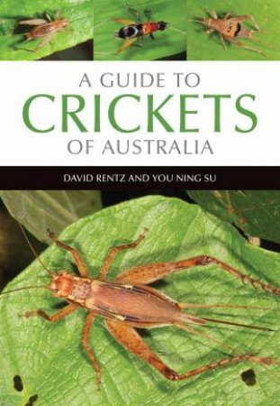 A Guide To Crickets Of Australia by David Rentz & You Ning Su