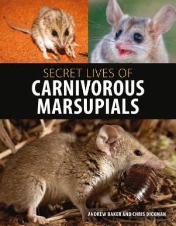 Secret Lives Of Carnivorous Marsupials by Andrew Baker & Christopher Dickman