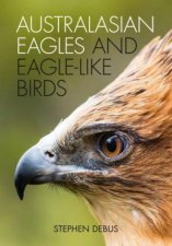 Australasian Eagles And EagleLike Birds