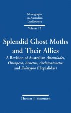 Splendid Ghost Moths And Their Allies