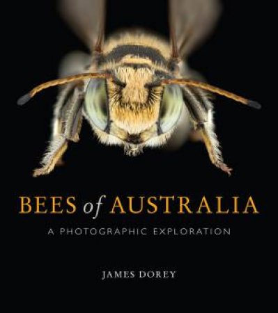 Bees Of Australia by James Dorey