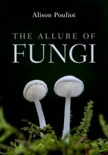 The Allure Of Fungi