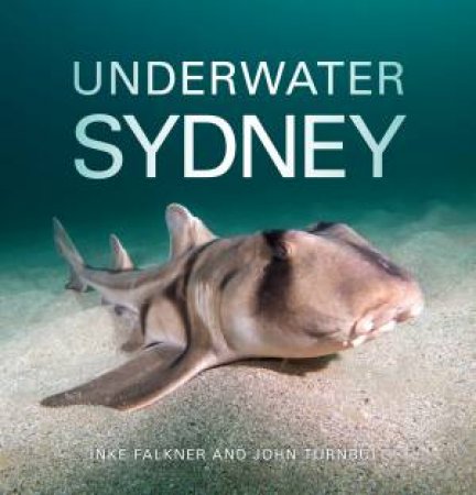 Underwater Sydney by Inke Falkner & John Turnbull
