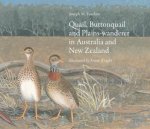 Quail Buttonquail and PlainsWanderer in Australia and New Zealand