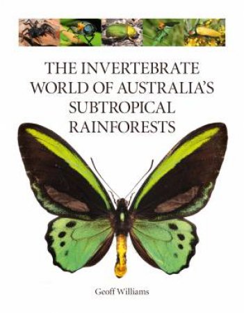The Invertebrate World Of Australia's Subtropical Rainforests by Geoff Williams