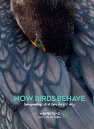 How Birds Behave by Wenfei Tong & Ben Sheldon