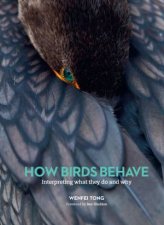 How Birds Behave