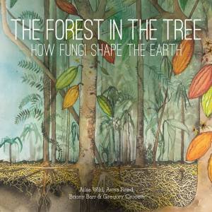 The Forest In The Tree by Ailsa Wild & Aviva Reed & Briony Barr & Gregory Crocetti