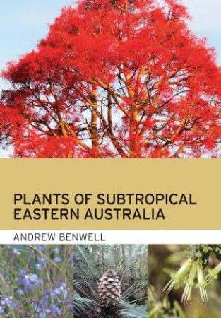 Plants Of Subtropical Eastern Australia by Andrew Benwell