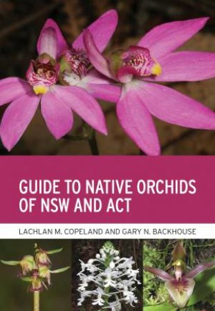 Guide To Native Orchids Of NSW And ACT by Lachlan M. Copeland & Gary N. Backhouse