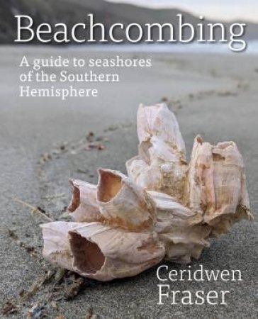 Beachcombing by Ceridwen Fraser
