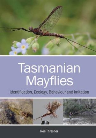 Tasmanian Mayflies by Ron Thresher