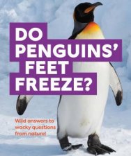Do Penguins Feet Freeze