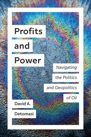 Profits And Power by David A. Detomasi