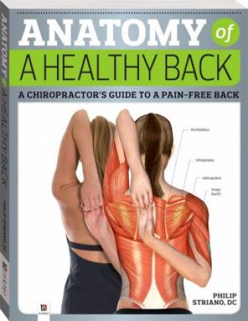 Anatomy of a Healthy Back by D.C., Philip Striano