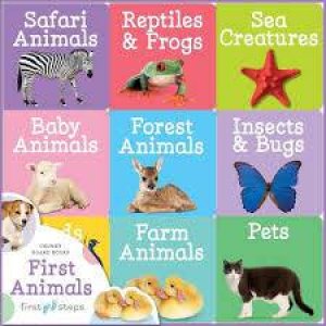 First Step Learning Library Tray: First Animals