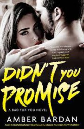 Didn't You Promise by Amber Bardan