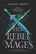 Black Witch Chronicles 05 The Rebel Mages Wandfasted  Light Mage