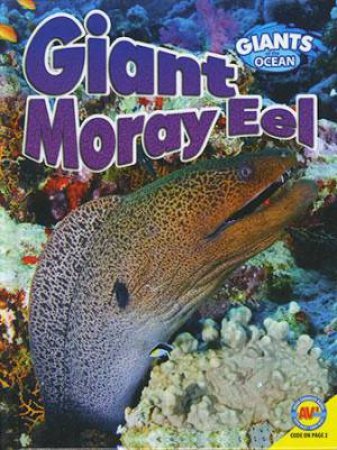 Giants of the Ocean: Giant Moray Eel by Anita Yasuda